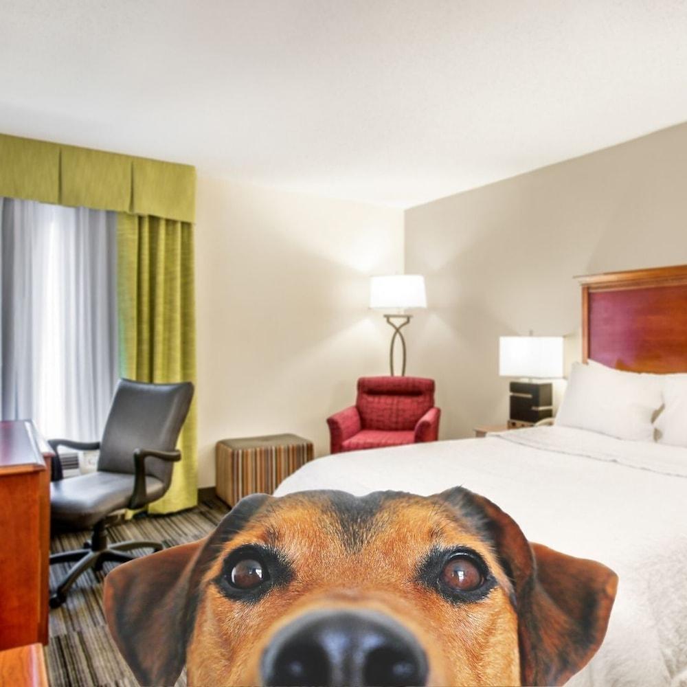 Hampton Inn Bowling Green Ky Extérieur photo